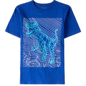 Boys graphic top